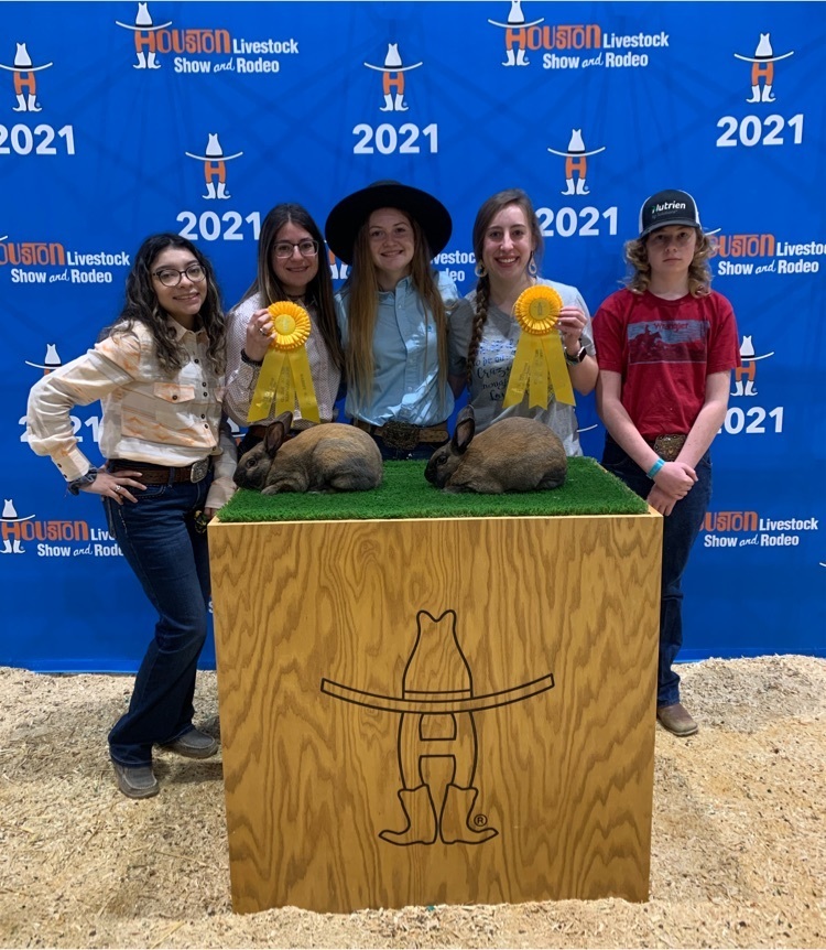 The Rabbit Show Team getting to that the infamous backdrop picture