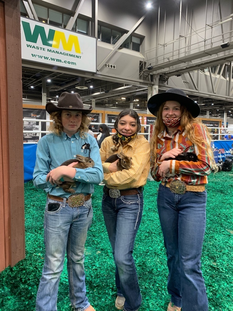 Joe, Naomi, and Abby with their Mini Rex