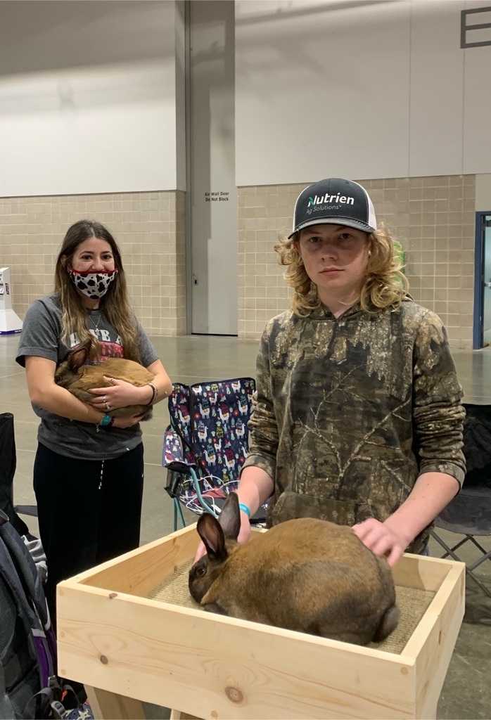 Joe and Abby caring for the Cinnamons