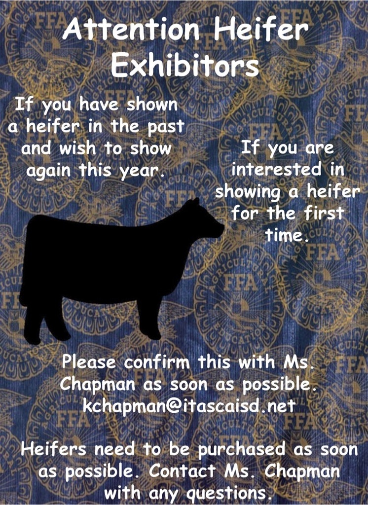 heifer flyer