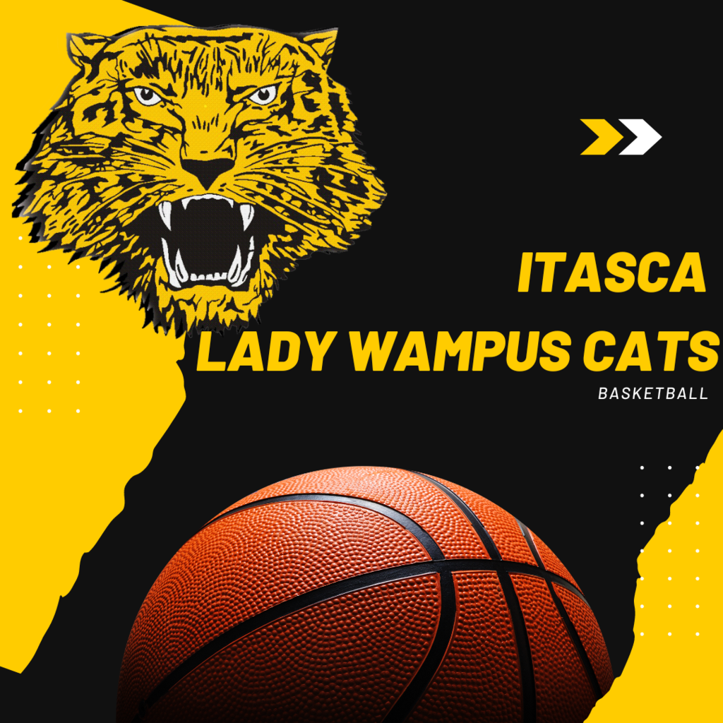 Lady Wampus Cats Basketball